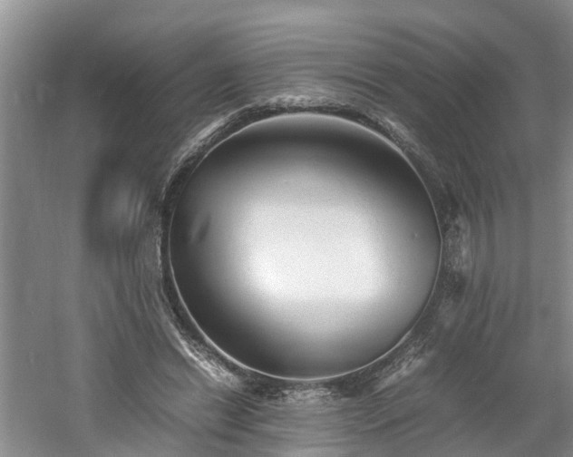 X0000060780446200511141421