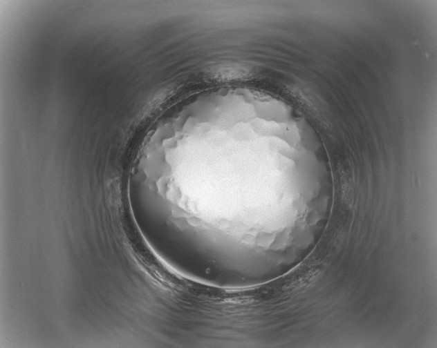 X0000060780447200511141421