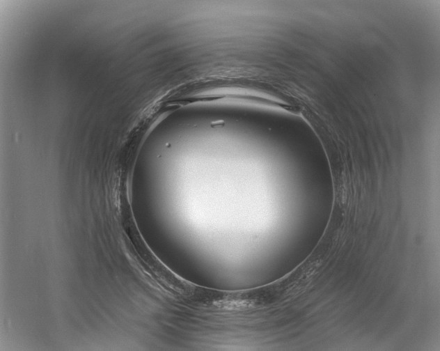 X0000060780448200511141421