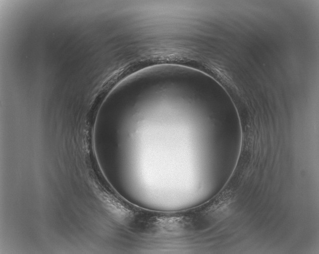 X0000060780450200511141421