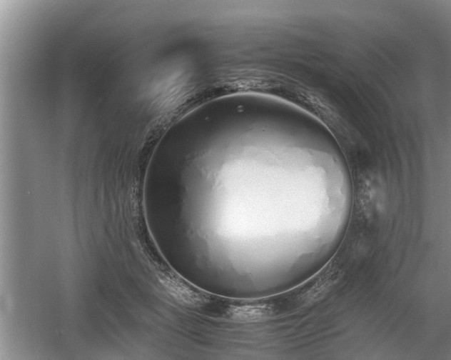 X0000060780461200511141422