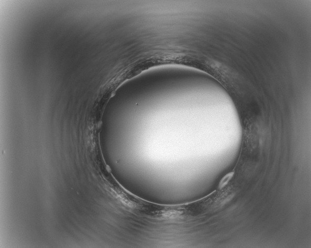 X0000060780462200511141422