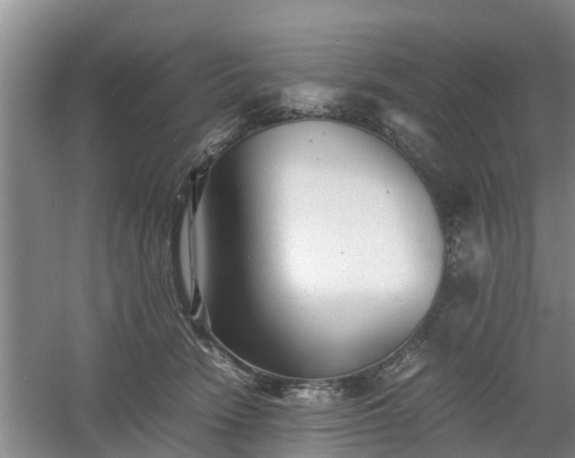 X0000060780466200511141422