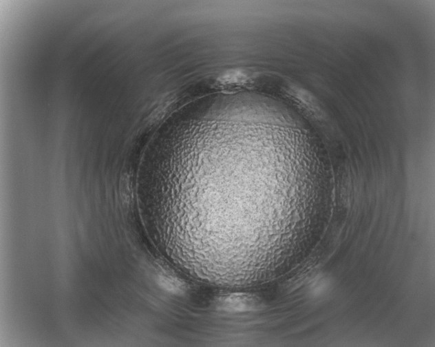 X0000060780467200511141422