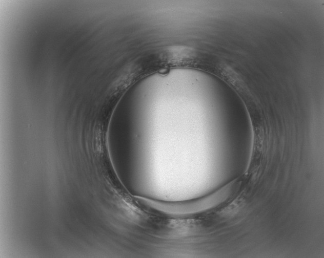 X0000060780470200511141422