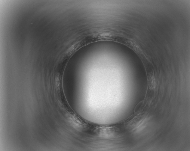 X0000060780472200511141422