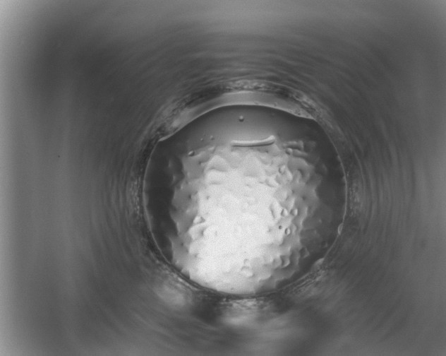 X0000060780473200511141422