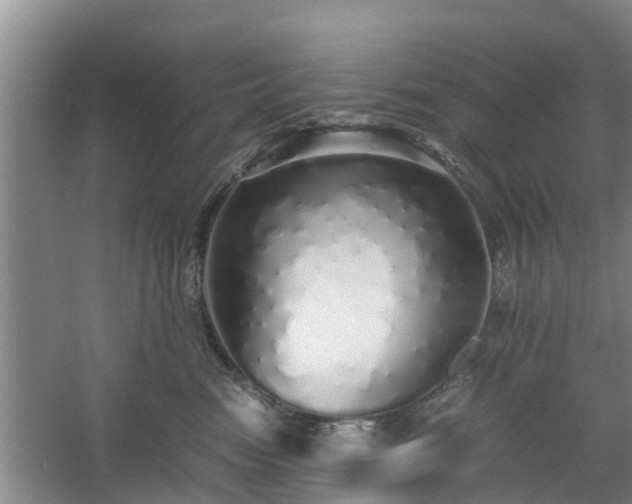 X0000060780474200511141422