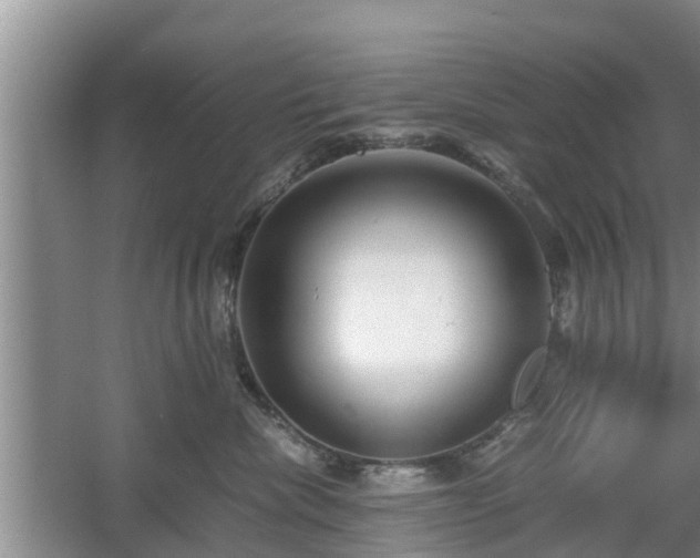 X0000060780476200511141422