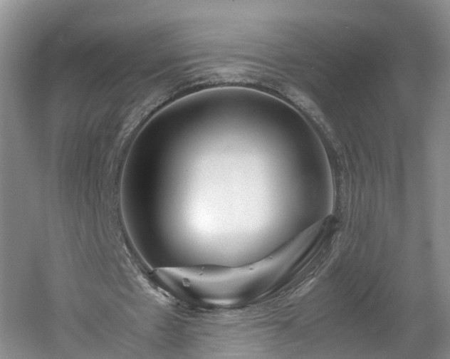 X0000060780481200511141421