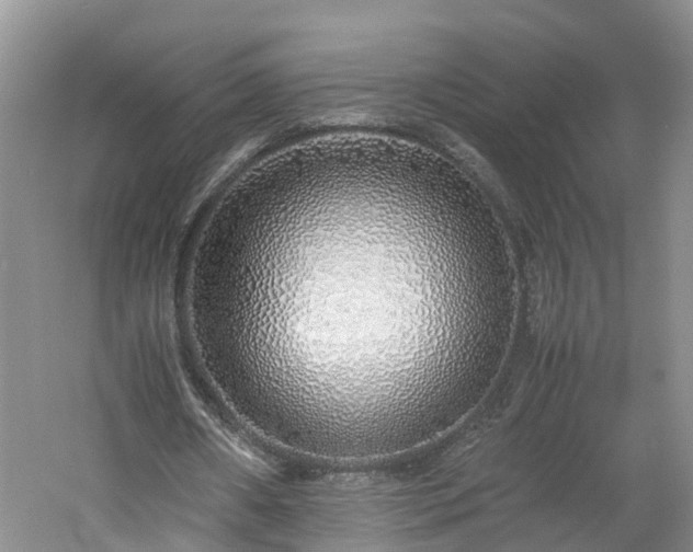 X0000060780482200511141421