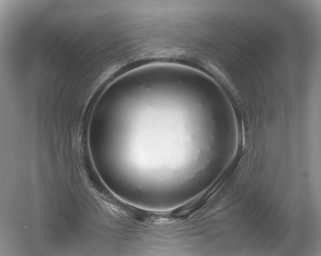 X0000060780483200511141421