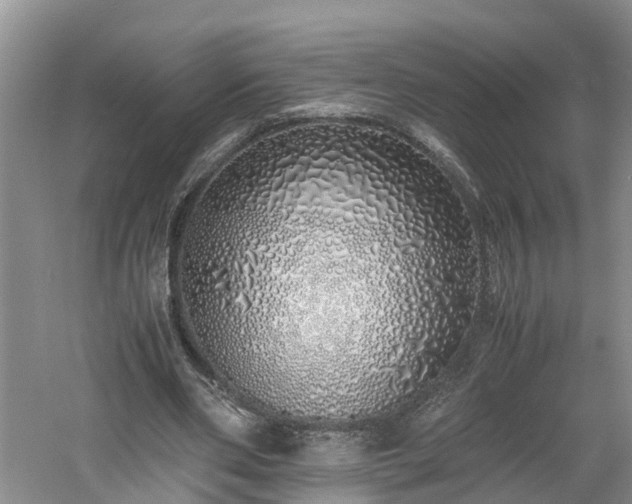 X0000060780486200511141421