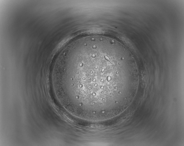 X0000060780487200511141421