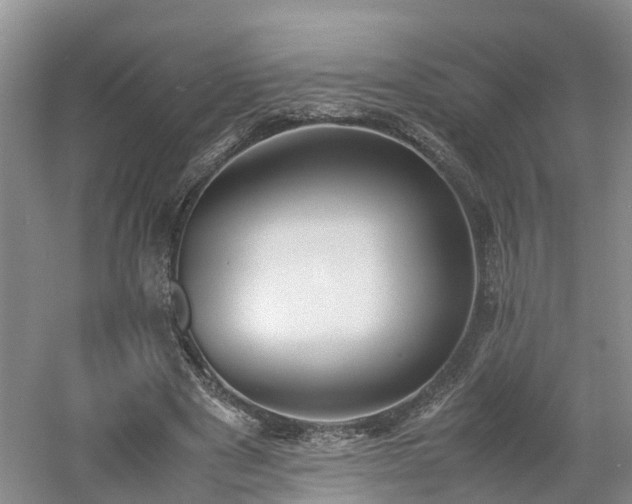 X0000060780489200511141421