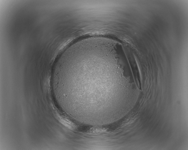 X0000060780491200511141421