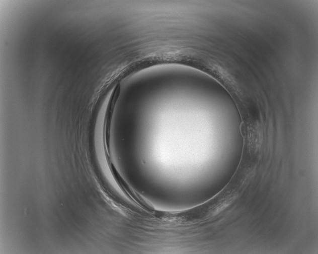 X0000060780493200511141421