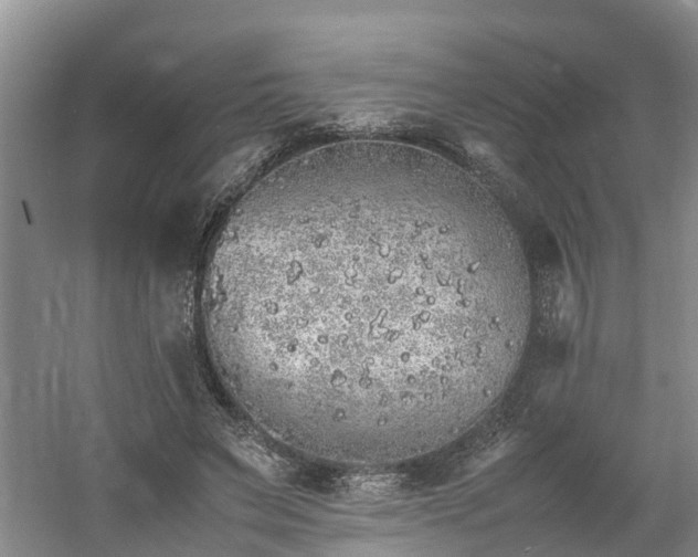 X0000060780495200511141421