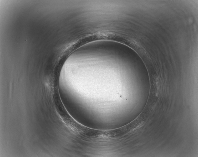 X0000060780496200511141421