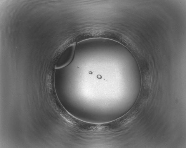 X0000060780497200511141421