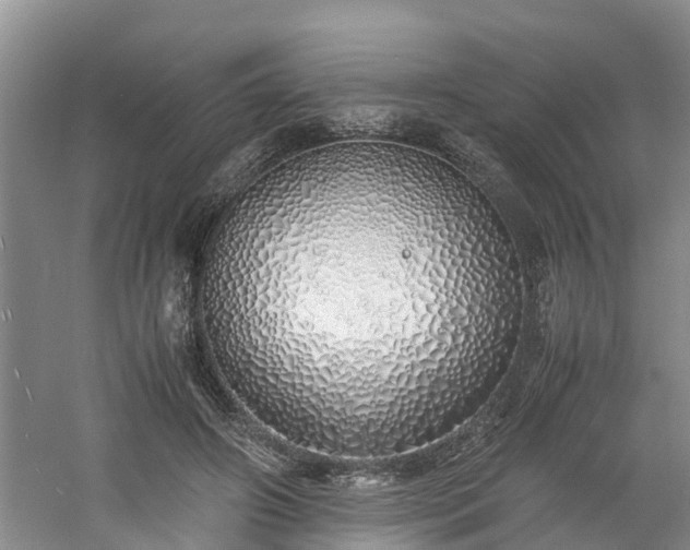 X0000060780498200511141421