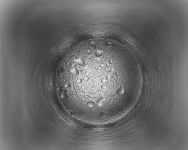 X0000060780499200511141421