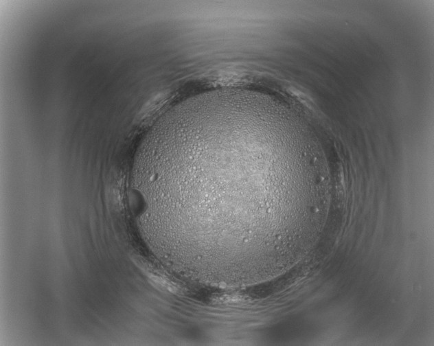 X0000060780503200511141421