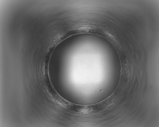 X0000060780504200511141421