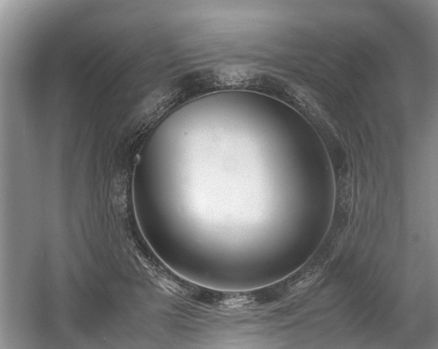 X0000060780505200511141421