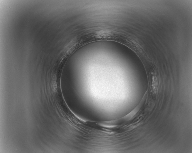 X0000060780508200511141421