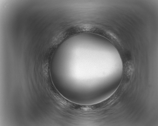 X0000060780509200511141421