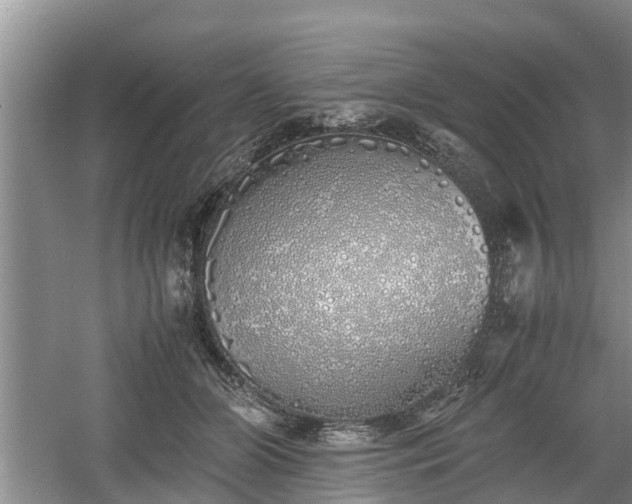 X0000060780510200511141421