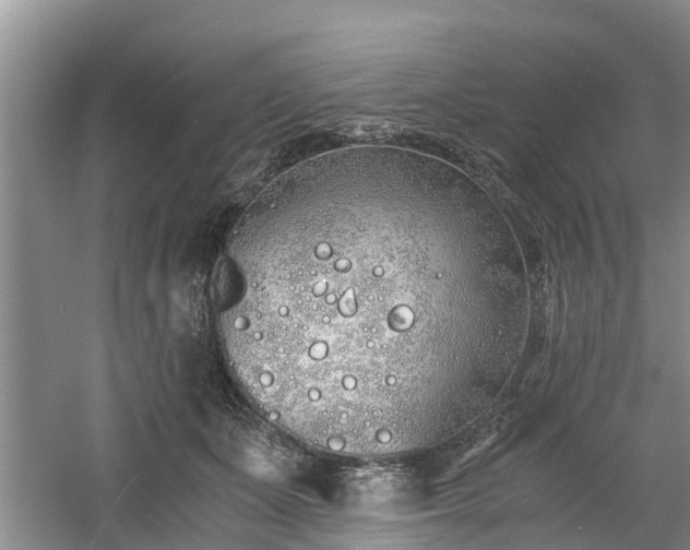 X0000060780511200511141421