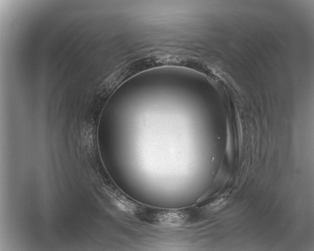 X0000060780513200511141421