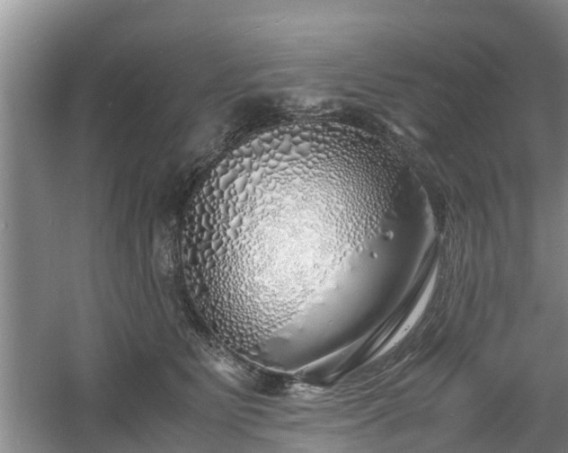 X0000060780515200511141420