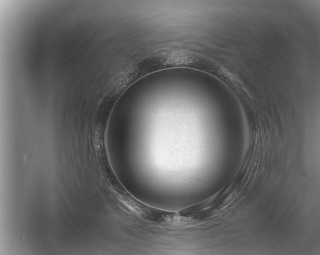 X0000060780517200511141420