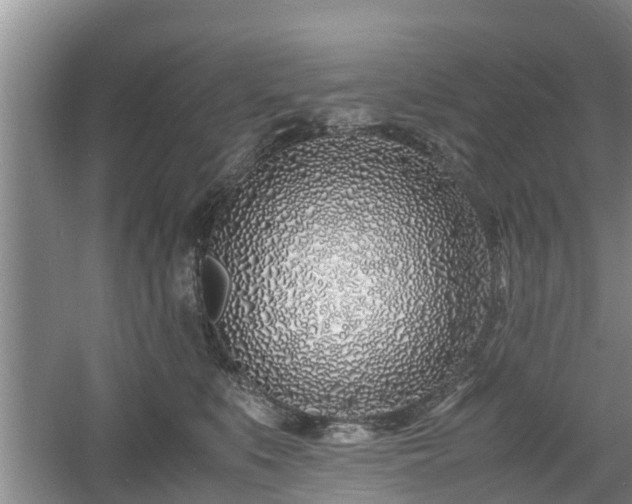 X0000060780519200511141420