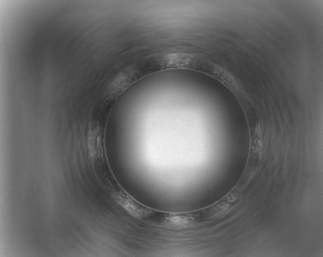 X0000060780522200511141420