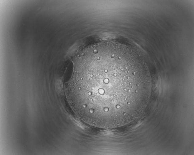 X0000060780523200511141420