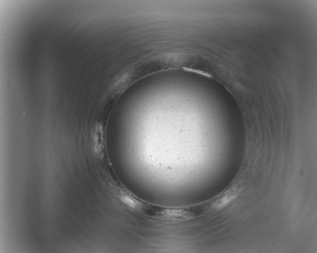 X0000060780528200511141420