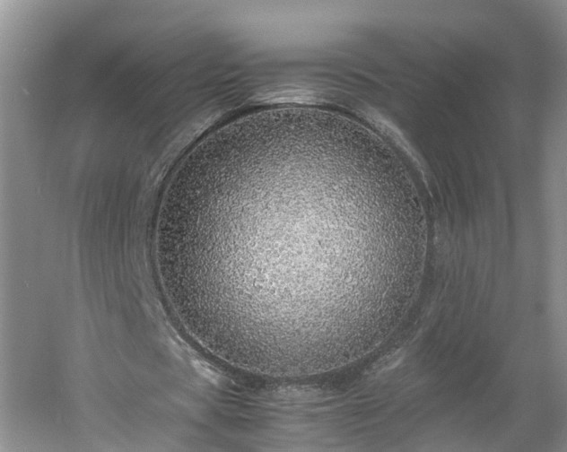 X0000060780529200511141419