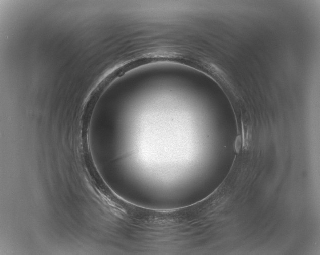 X0000060780531200511141419