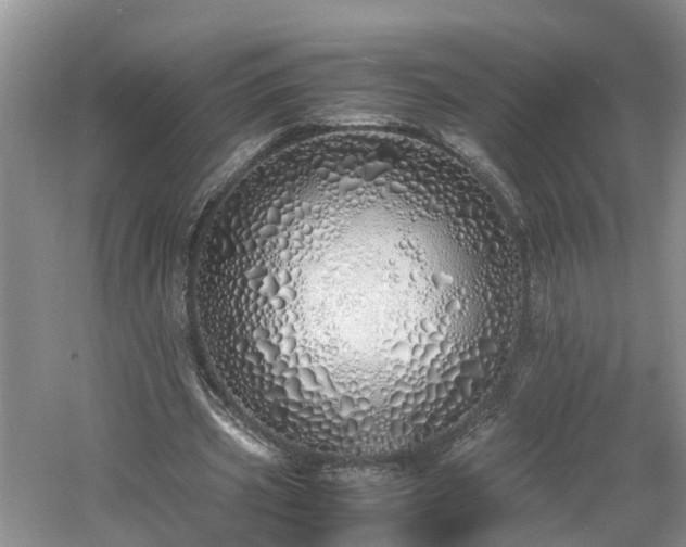 X0000060780533200511141419