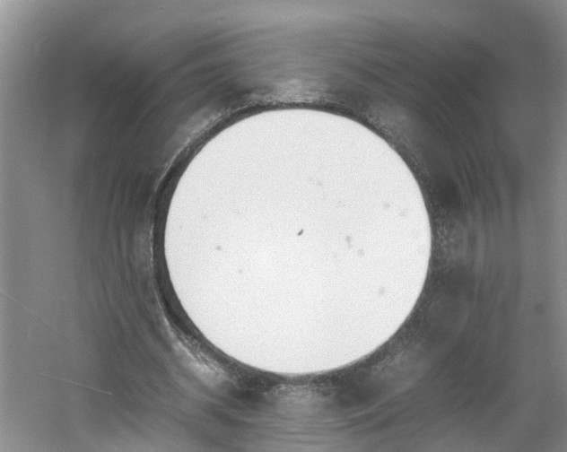 X0000060780534200511141420