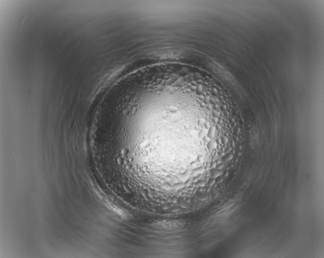 X0000060780537200511141420