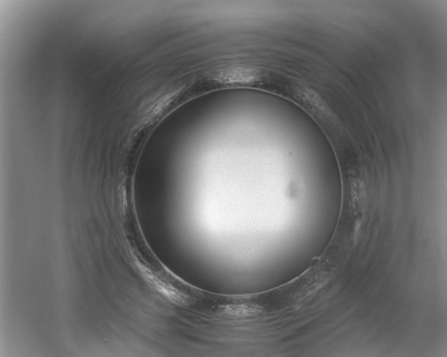 X0000060780541200511141420