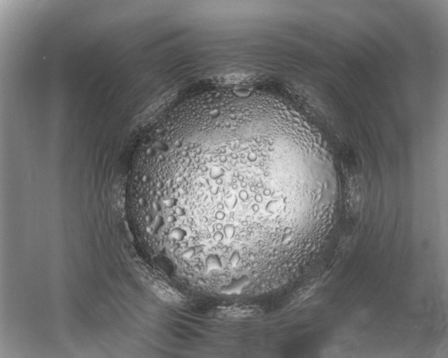 X0000060780545200511141420