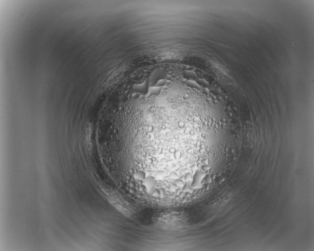 X0000060780550200511141420