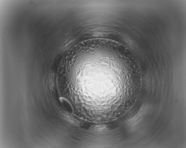 X0000060780554200511141420