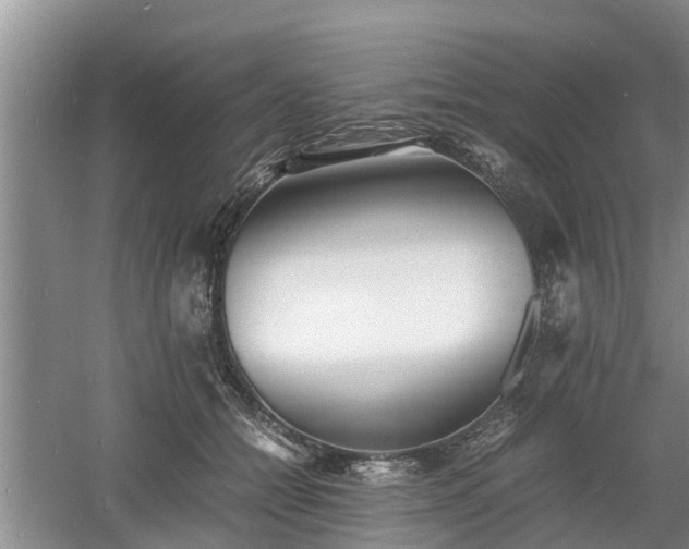 X0000060780558200511141420